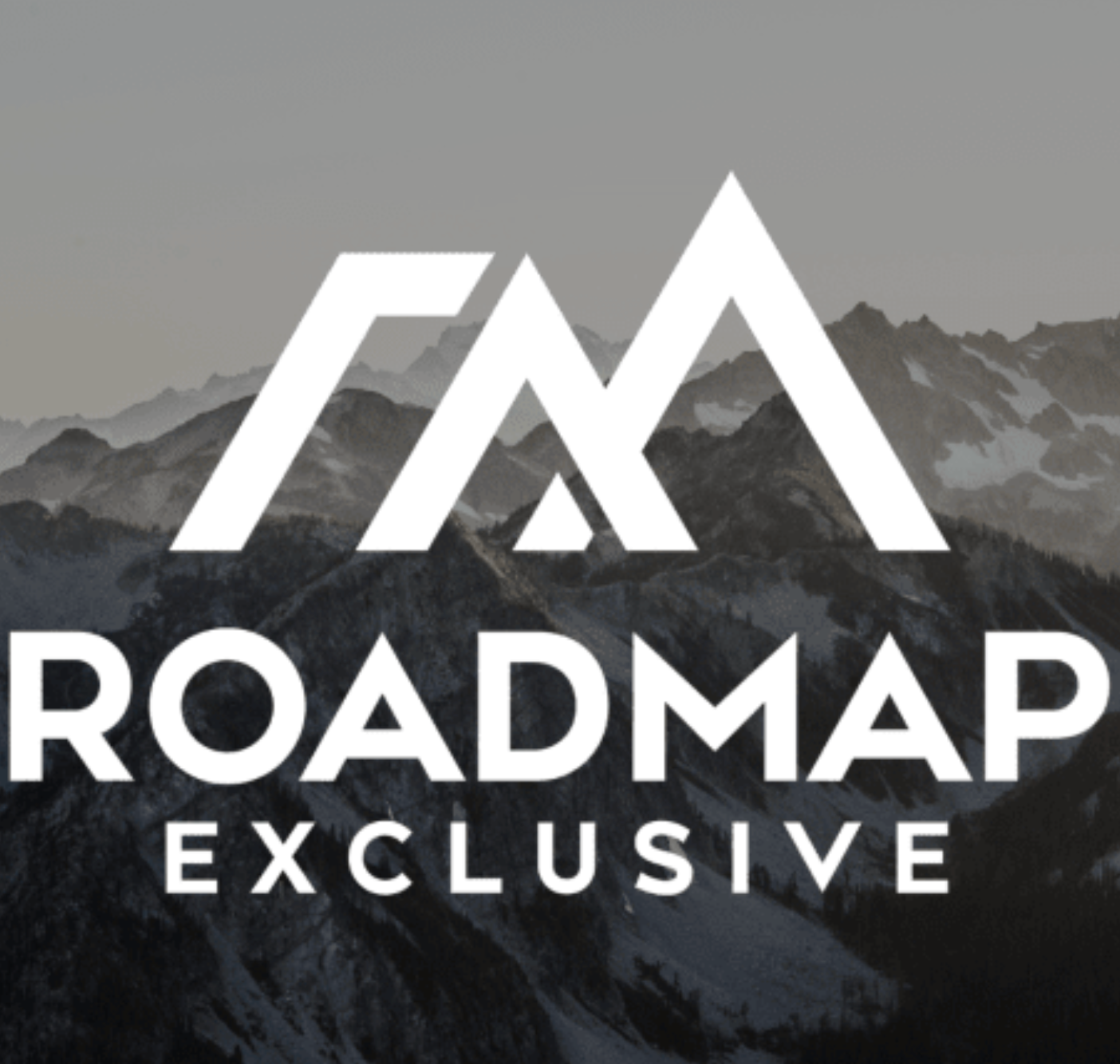 Roadmap Exclusive Business Course